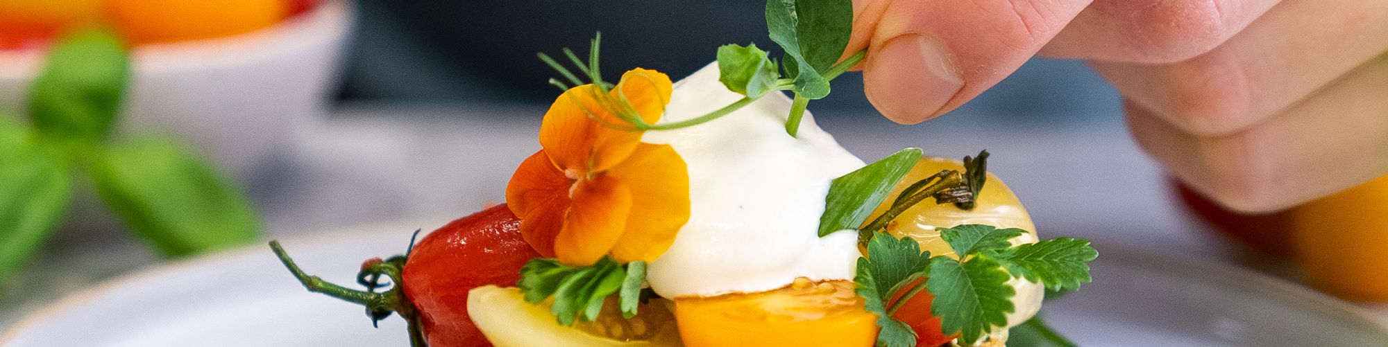 Ein Gericht mit bunter Tomatenvielfalt wird mit einer  weißen Creme und essbaren Blüten dekoriert.