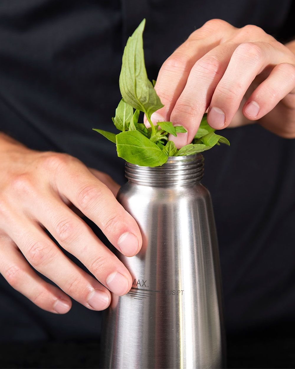 Jemand gibt Kräuter in ein iSi Gourmet Whip, um Gartenkäuteröl herzustellen. 