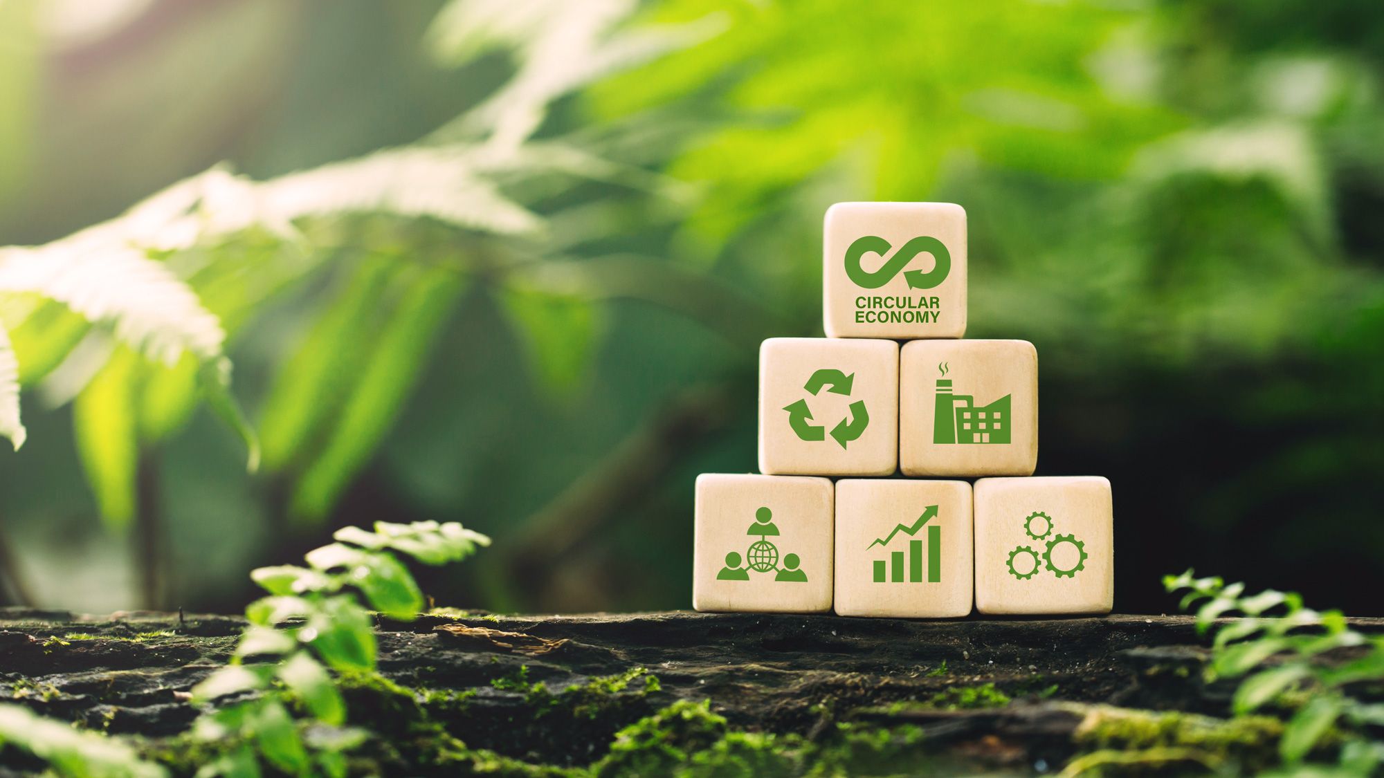 Holzwürfel mit Symbolen zur Kreislaufwirtschaft auf Moos im Grünen gestapelt.
