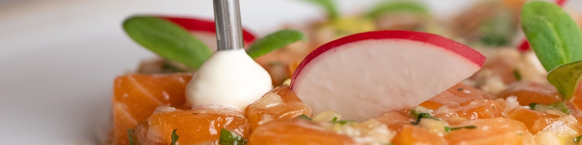 Ein Lachstatar wird mit einer feinen Creme aus dem iSi Whip und frischen Radieschenscheiben angerichtet.